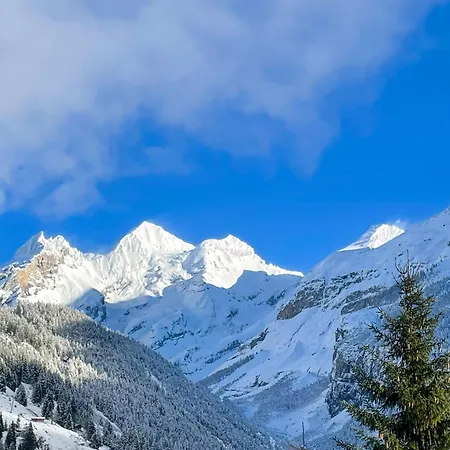 Swiss Alps *