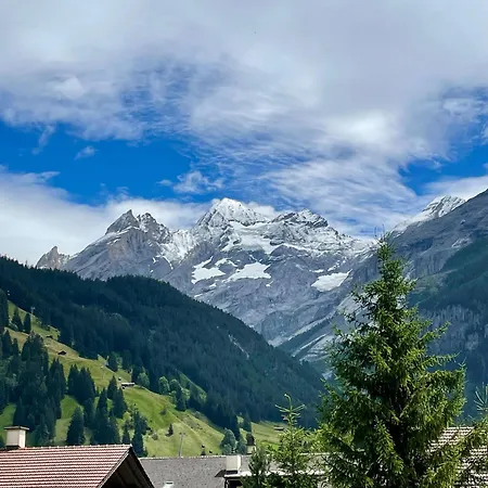 Swiss Alps Apartment *