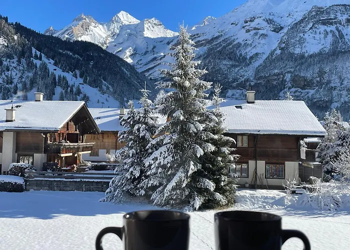 Appartement Swiss Alps