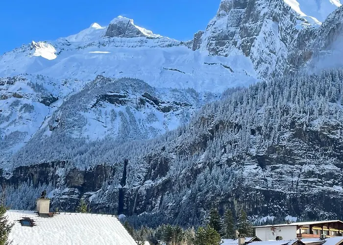 Swiss Alps Apartment *