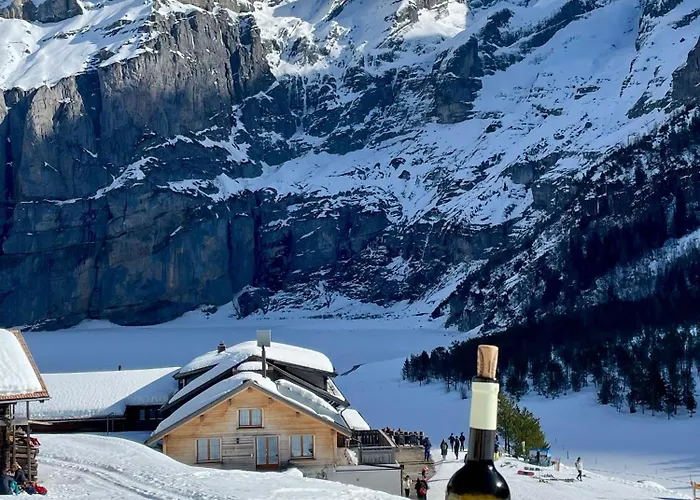 Appartement Swiss Alps *