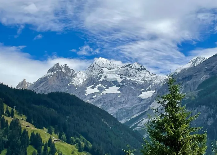 Swiss Alps Appartement *