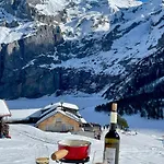 Апартаменты Swiss Alps *