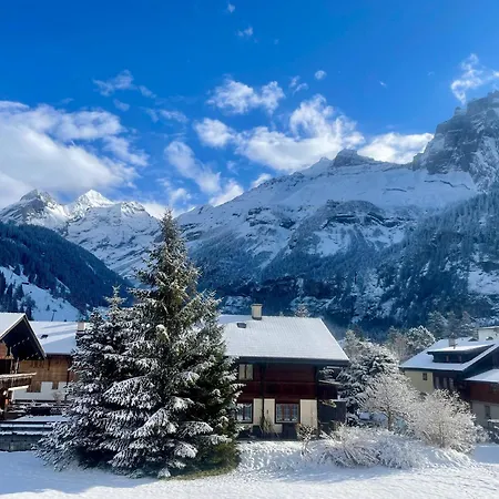 Swiss Alps Апартаменты Кандерштег